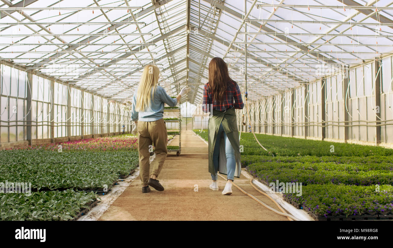 Nella soleggiata serra industriale professionale giardiniere educare il giovane apprendista come lavorare con splendidi fiori. Foto Stock