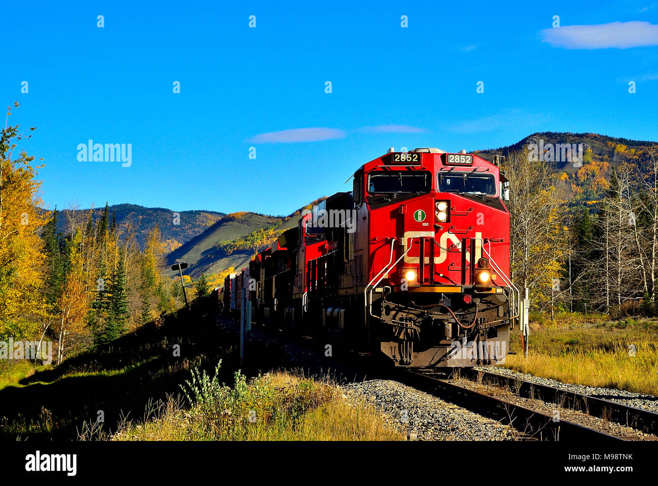 Una vista frontale di un Canadian National treno merci viaggiano sui binari del treno vicino Brule Alberta Canada. Foto Stock