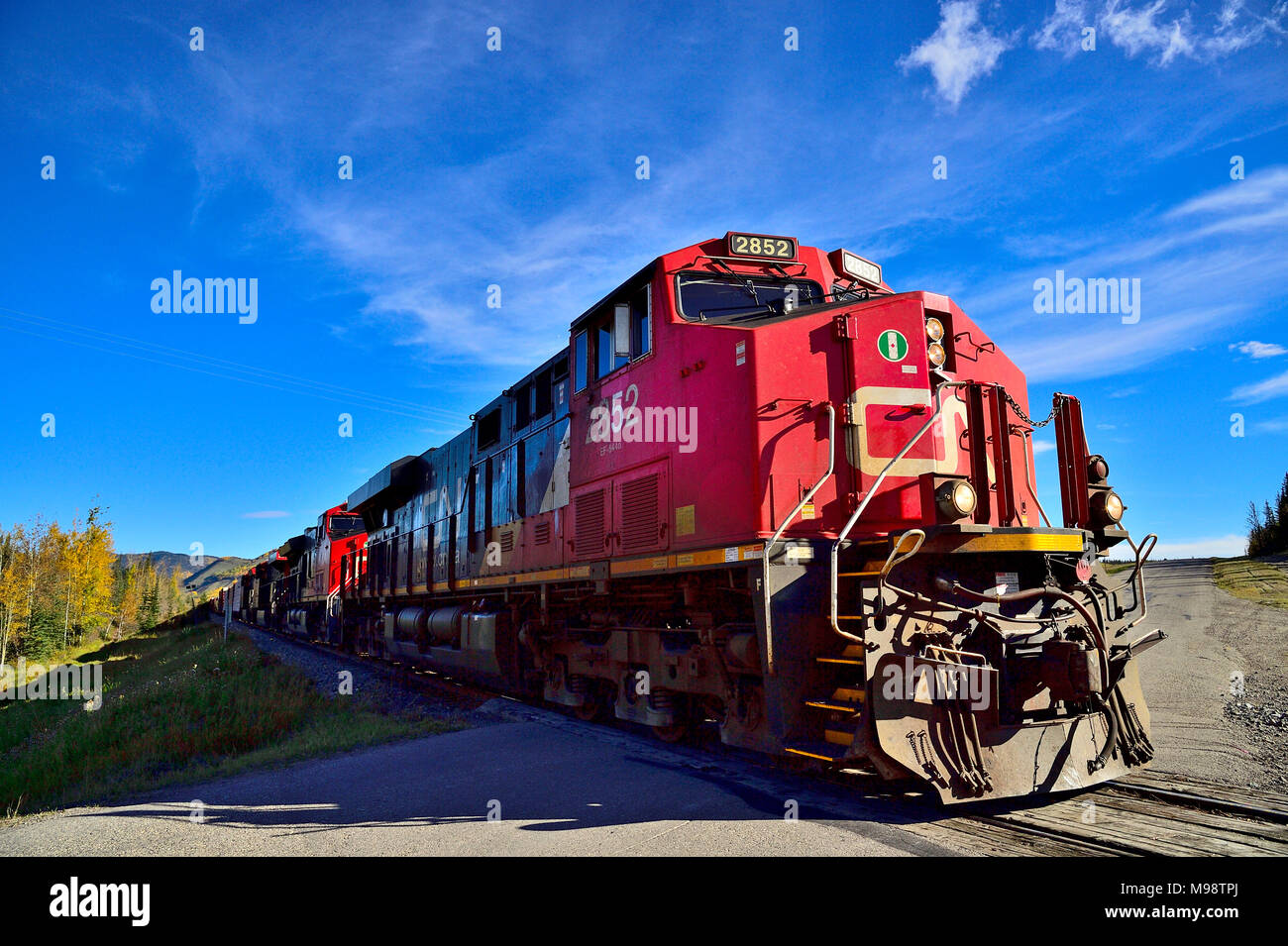 Un Canadian National treno merci attraversando le due corsie vicino Brule Alberta Canada. Foto Stock