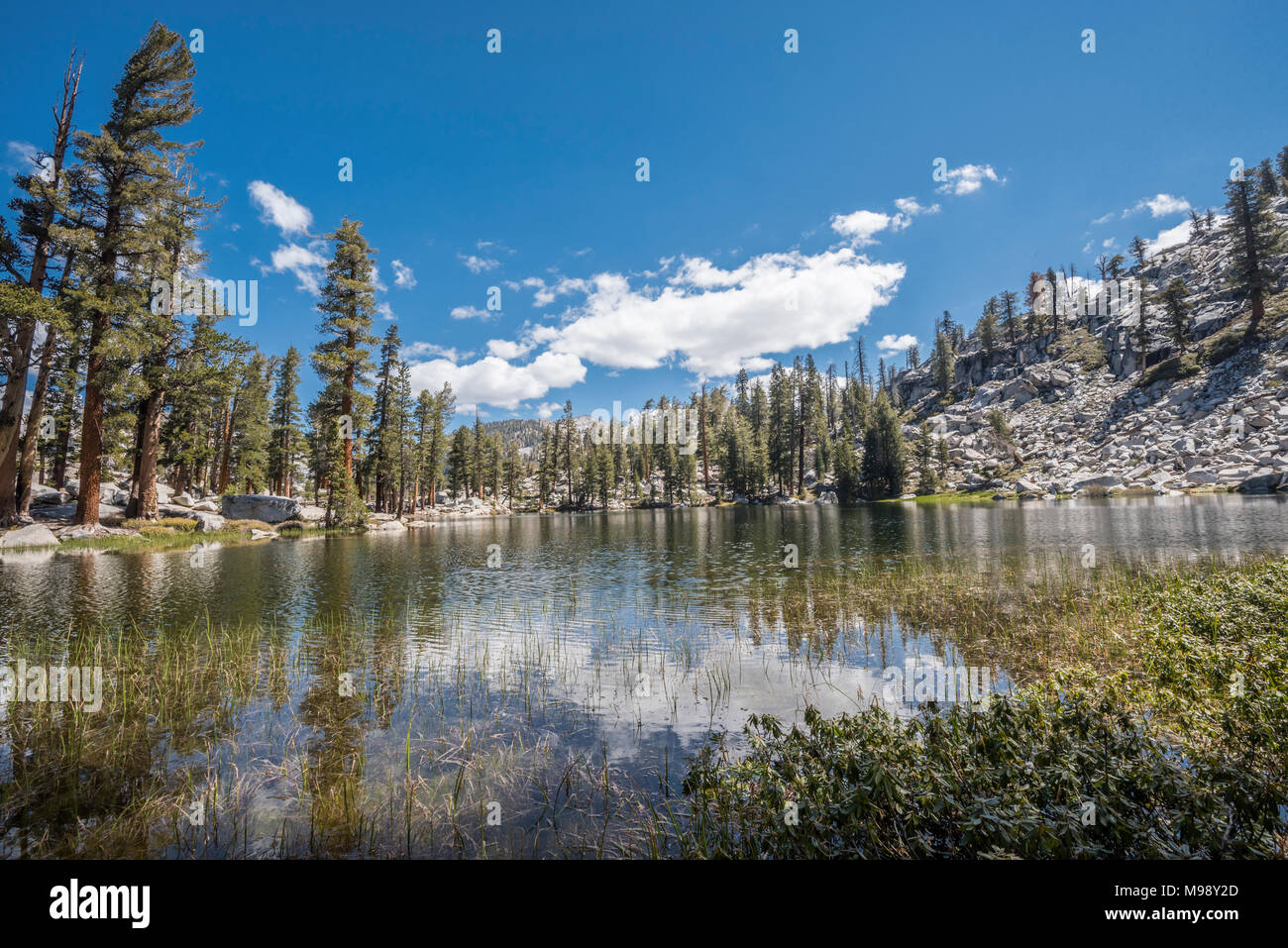 the lakes trail sequoia