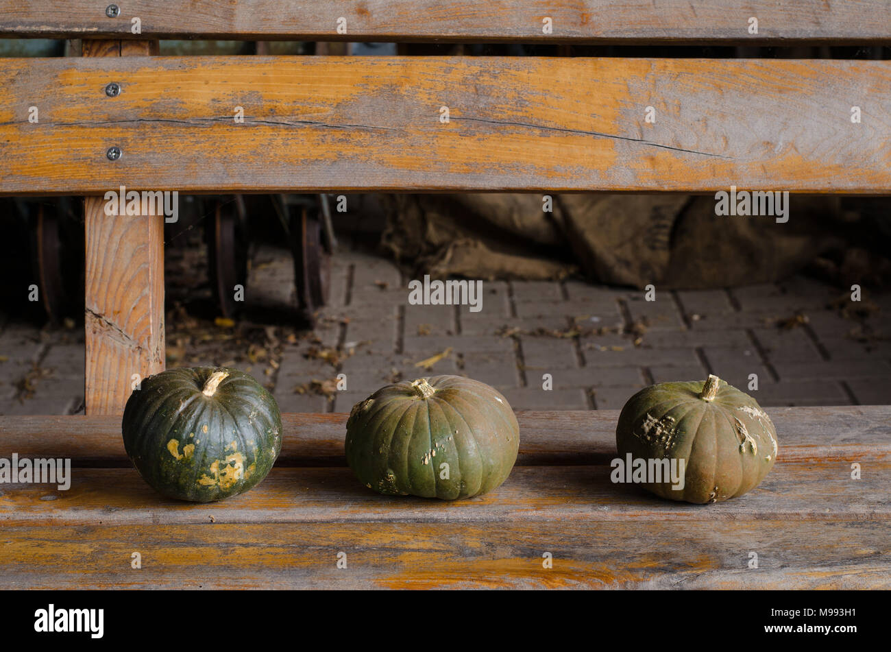 Tre zucche verde su una panca in legno nel fienile rustico Foto Stock