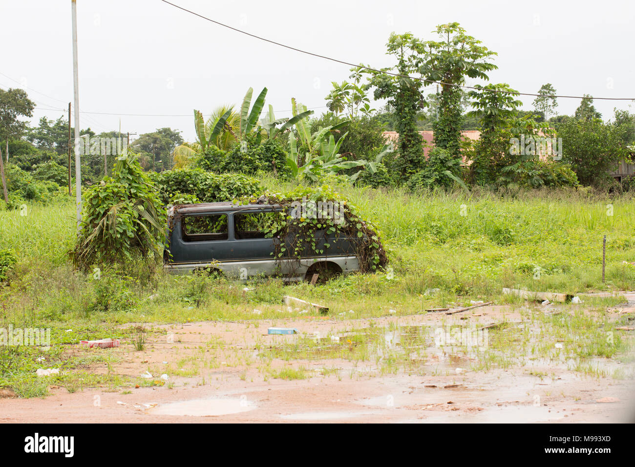 Veicoli abbandonati invasa dalle piante rampicanti, Apoera vicino al fiume Courantayne Suriname America del Sud Foto Stock