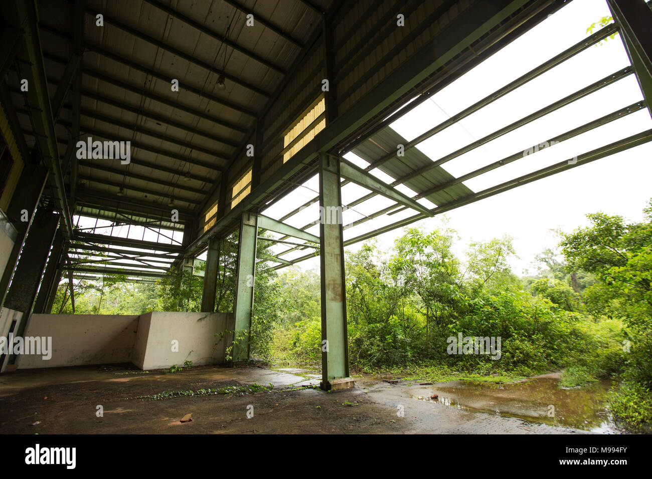 Apoera stazione ferroviaria in Suriname, vicino al fiume Courantayne che è stato abbandonato dopo i piani per usarlo per la movimentazione di bauxite sono stati interrotti Foto Stock