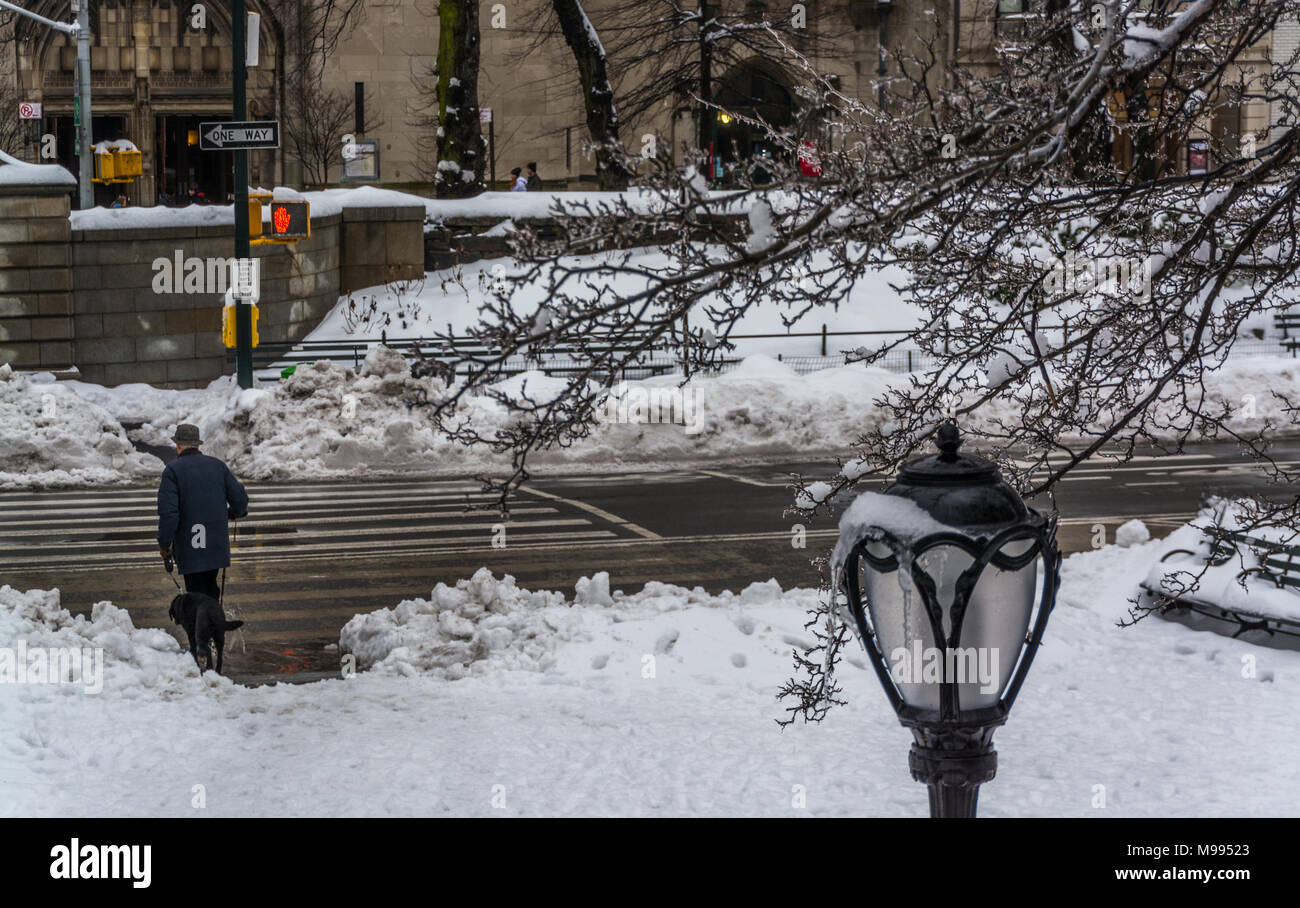 Febbraio 5, 2014, al Central Park di New York, uomo a camminare con il cane Foto Stock
