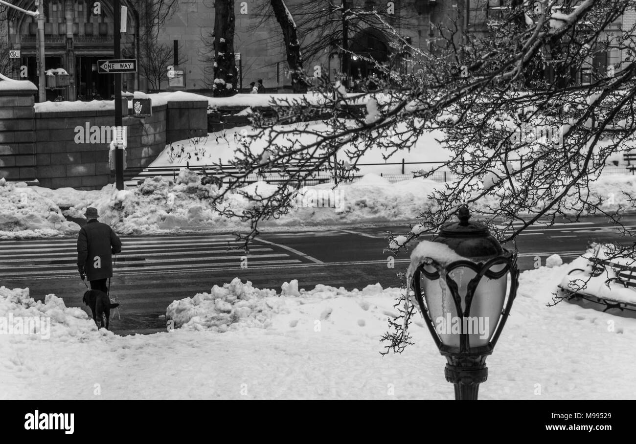 Febbraio 5, 2014, uomo a camminare il suo cane nel parco centrale, Manhattan, New York Foto Stock