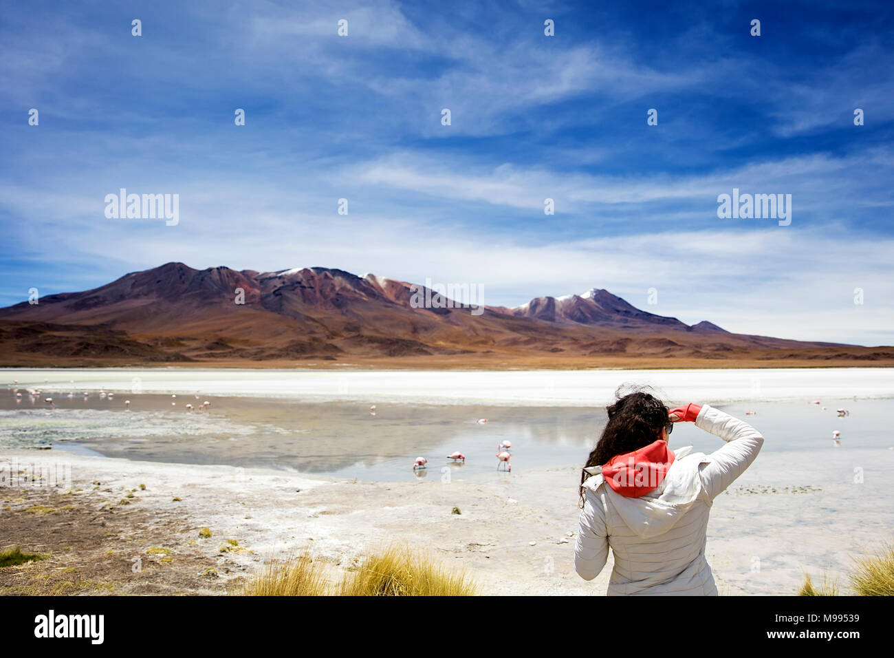 Giovane donna alla Laguna Hedionda a altipiano andino in Bolivia Foto Stock