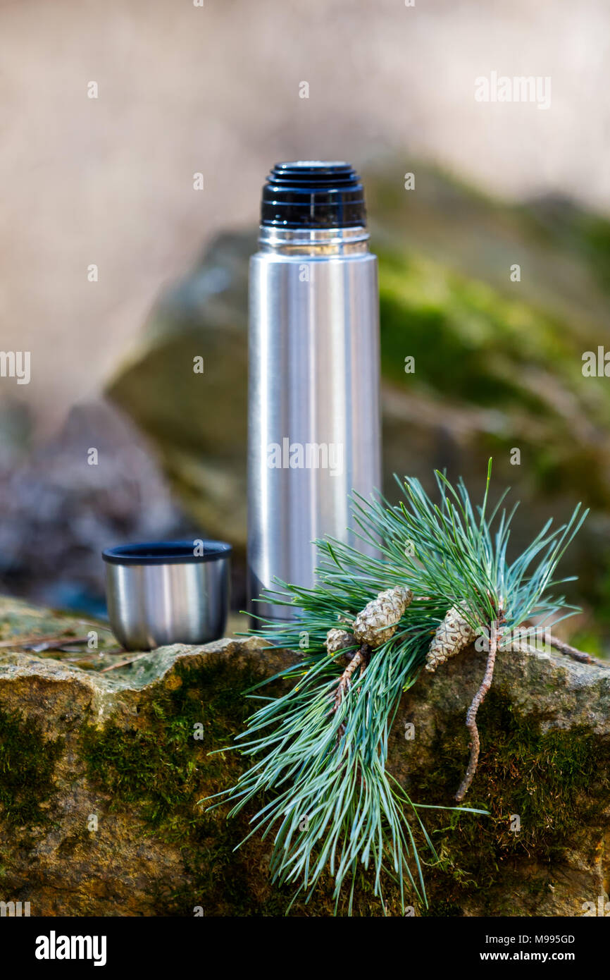 Thermos con tè su una pietra in una foresta con pigne Foto Stock