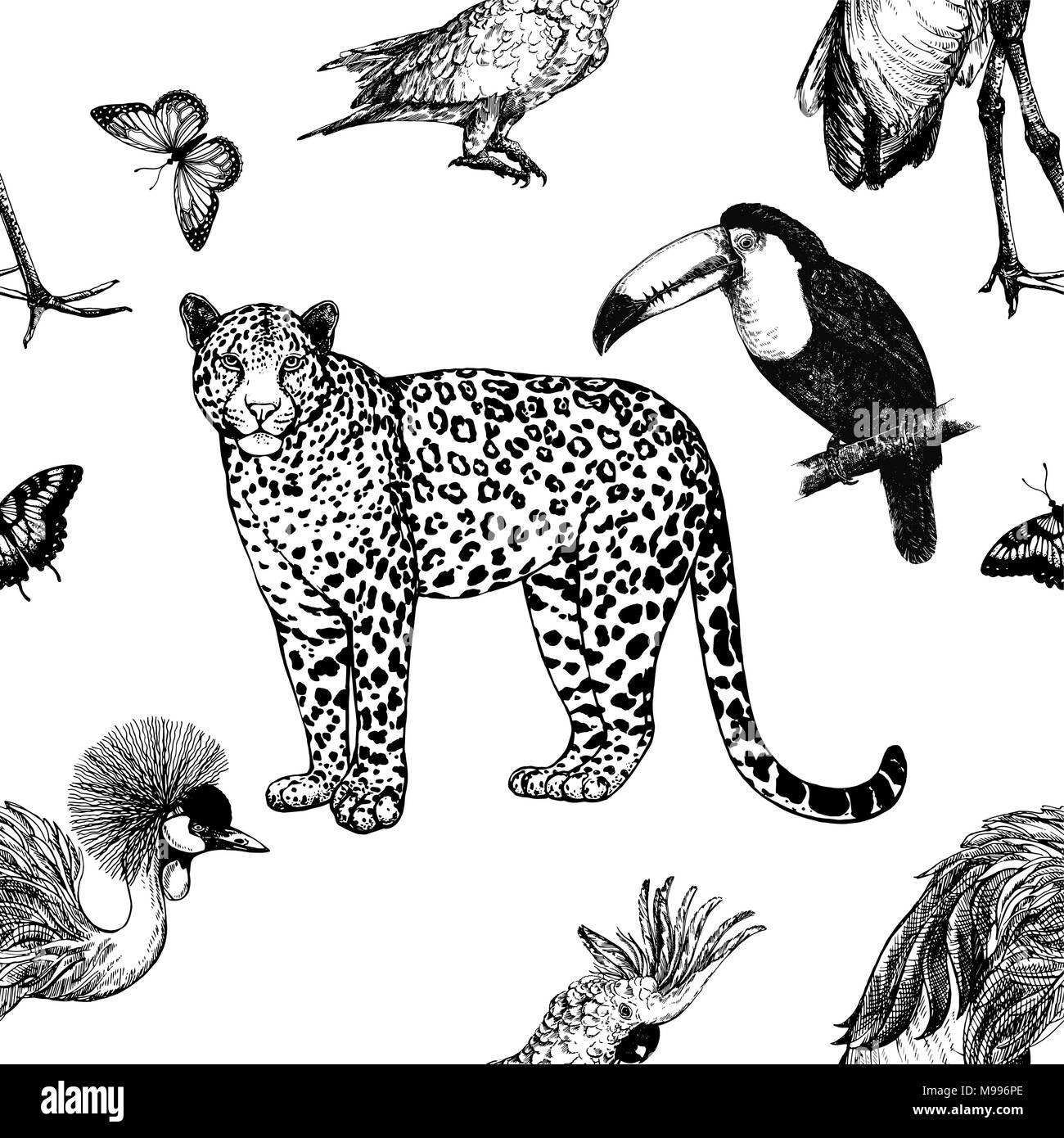 Modello senza giunture di mano il bozzetto style leopard, uccelli esotici e butterfly isolati su sfondo bianco. Illustrazione Vettoriale. Illustrazione Vettoriale