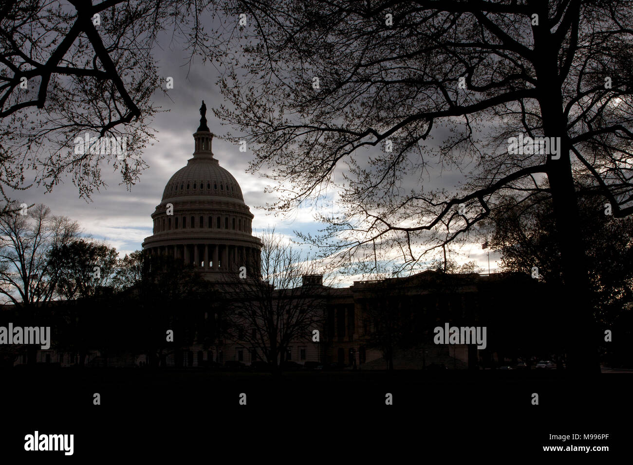 Gli Stati Uniti Campidoglio di Washington, D.C. Foto Stock