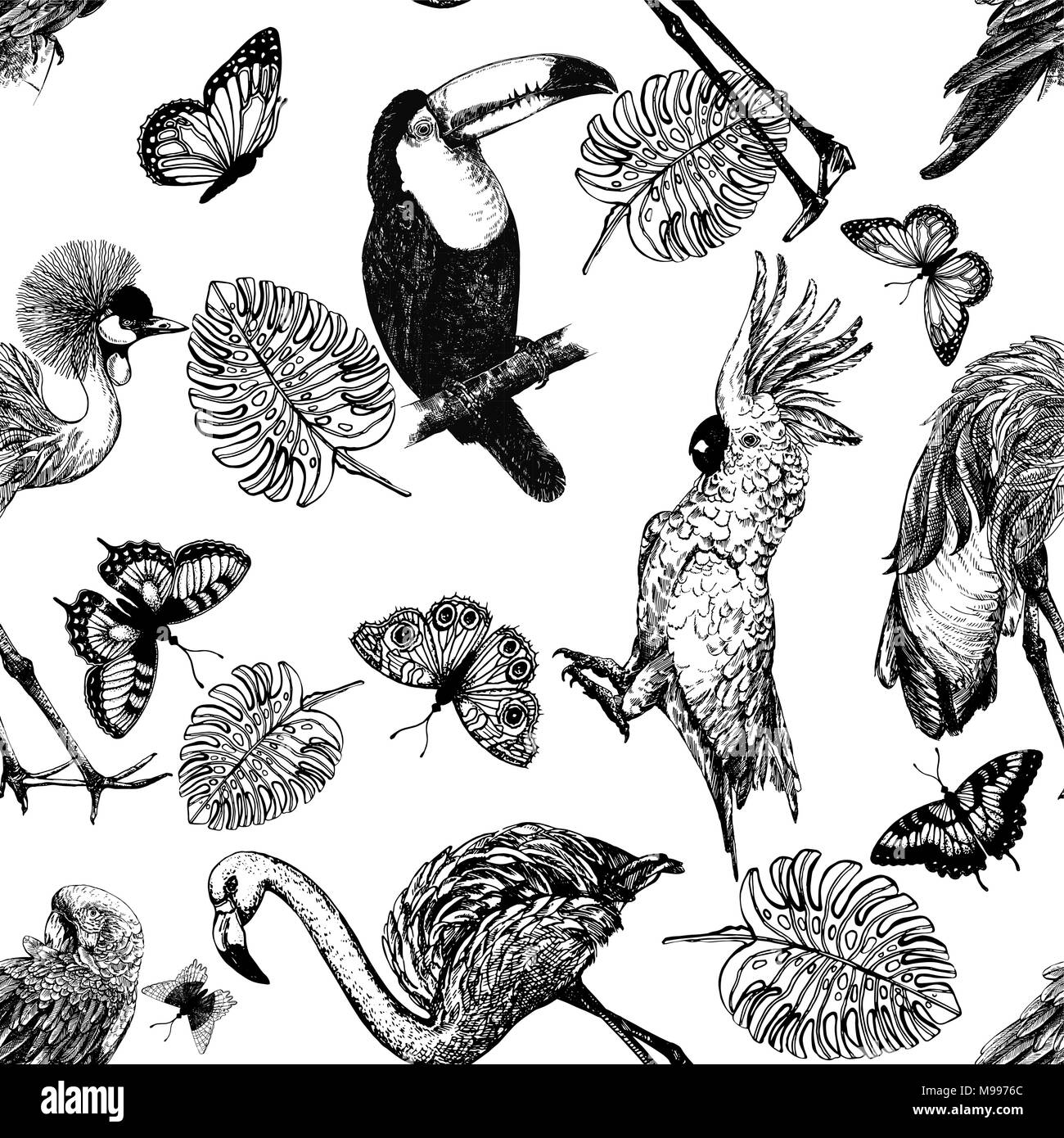 Modello senza giunture di mano il bozzetto di stile uccelli esotici, piante e farfalle isolati su sfondo bianco. Illustrazione Vettoriale. Illustrazione Vettoriale