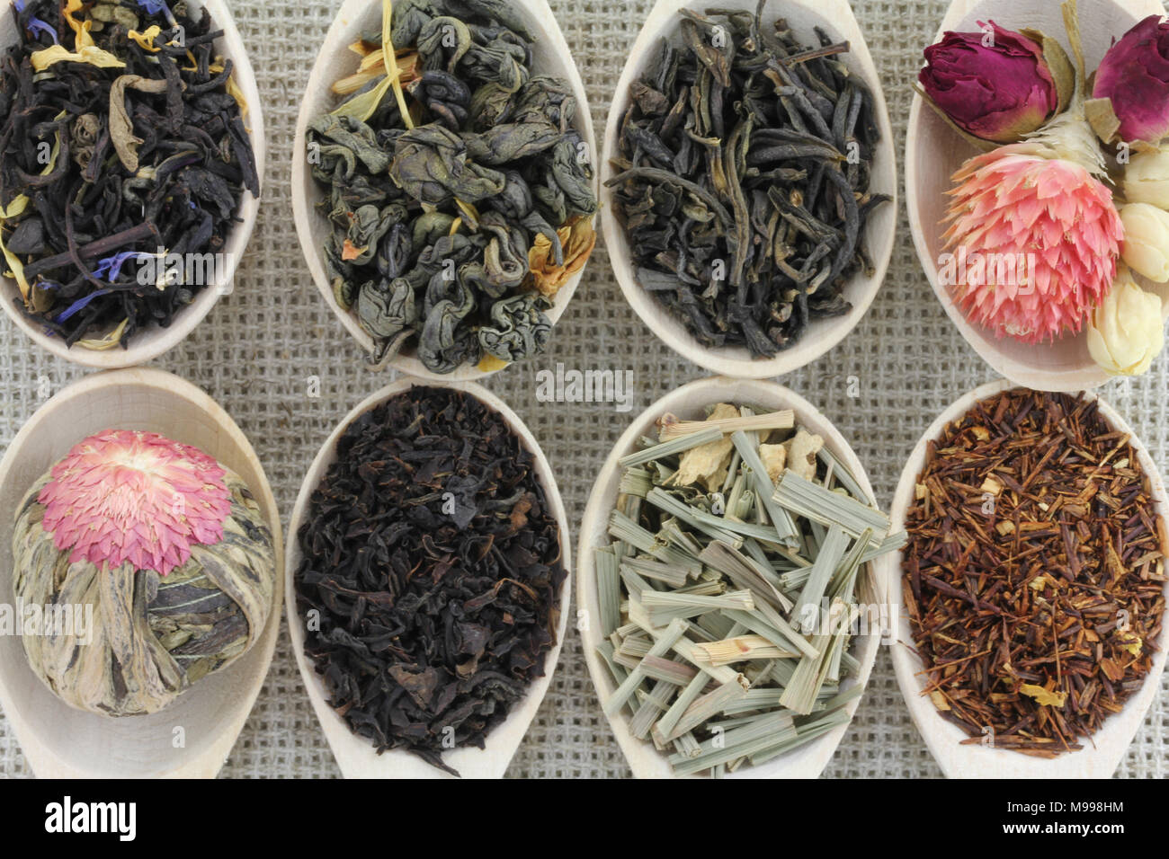 Assortimento di tipi diversi di tè in un cucchiaio di legno su uno sfondo di colore grigio tessuto naturale Foto Stock