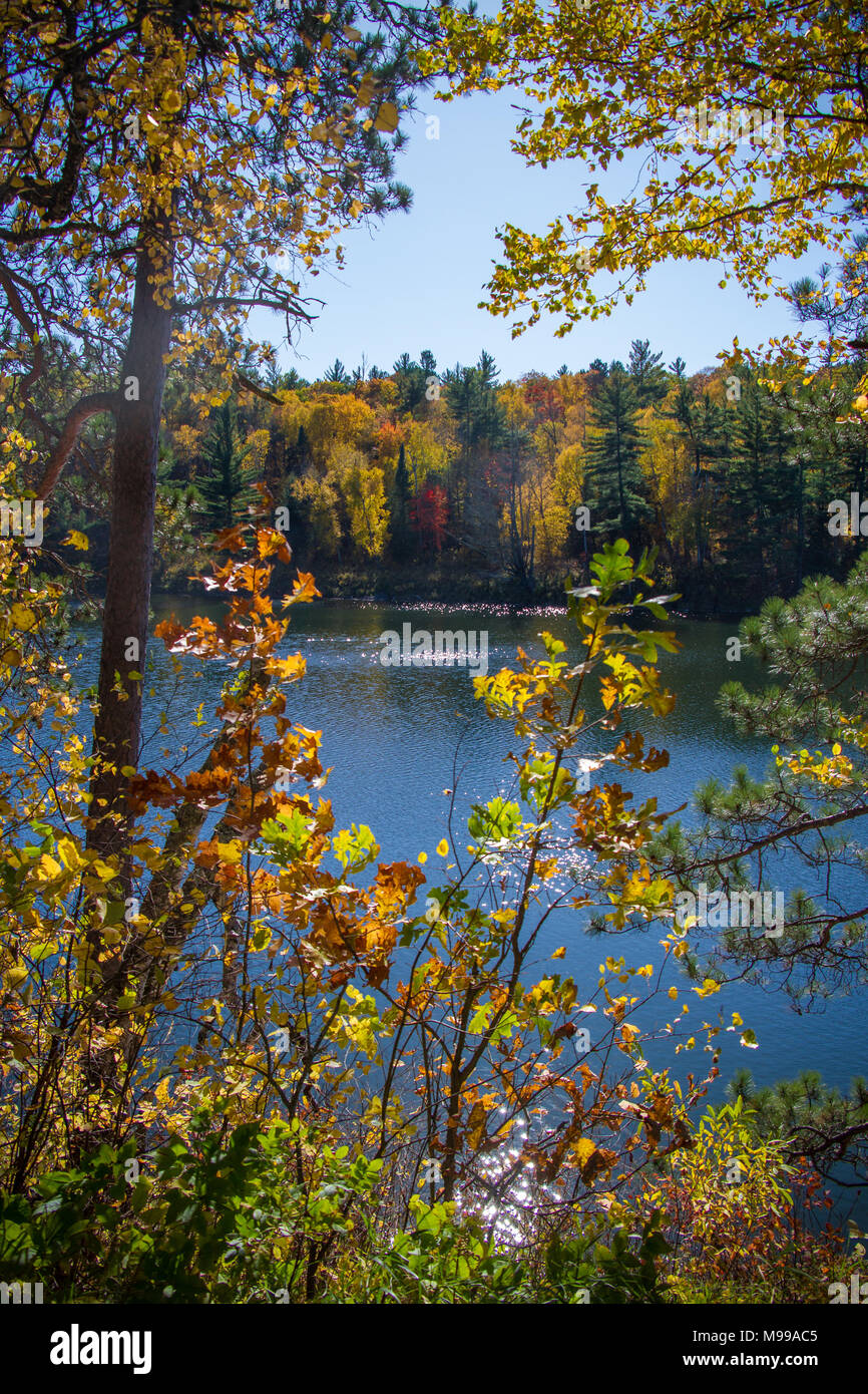 I colori dell'autunno evidenziare Lago Itasce, le sorgenti del fiume Mississippi Foto Stock