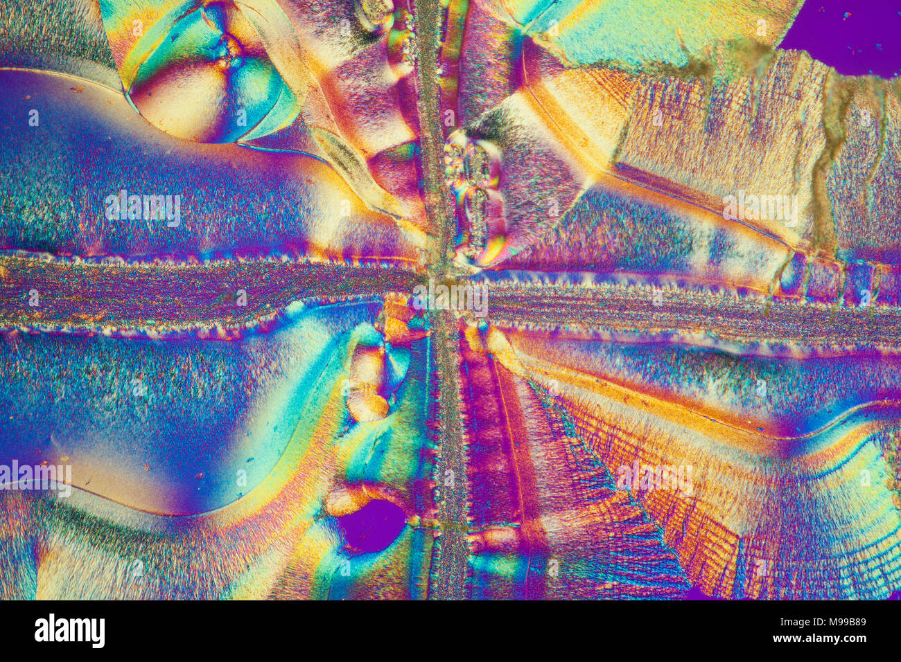 Campo chiaro polarizzata incrociata fotomicrografia, vitamina C, acido ascorbico Foto Stock