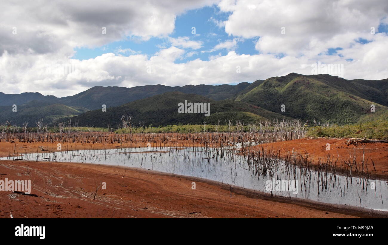 Foresta affondata in Nuova Caledonia Foto Stock