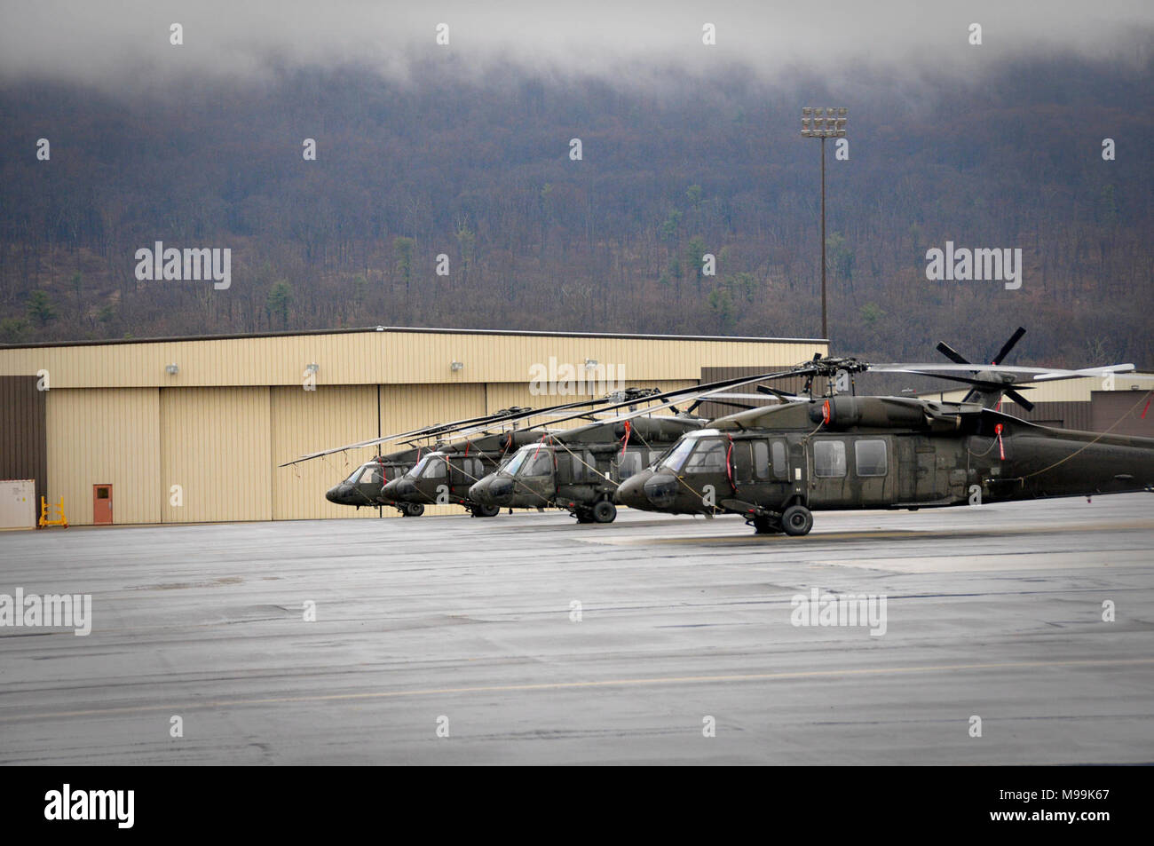 Ventottesima Expeditionary combattere la Brigata Aerea UH-60 Black Hawk elicotteri parcheggiato su Muir Army Airfield Febbraio 25, 2018. Foto Stock