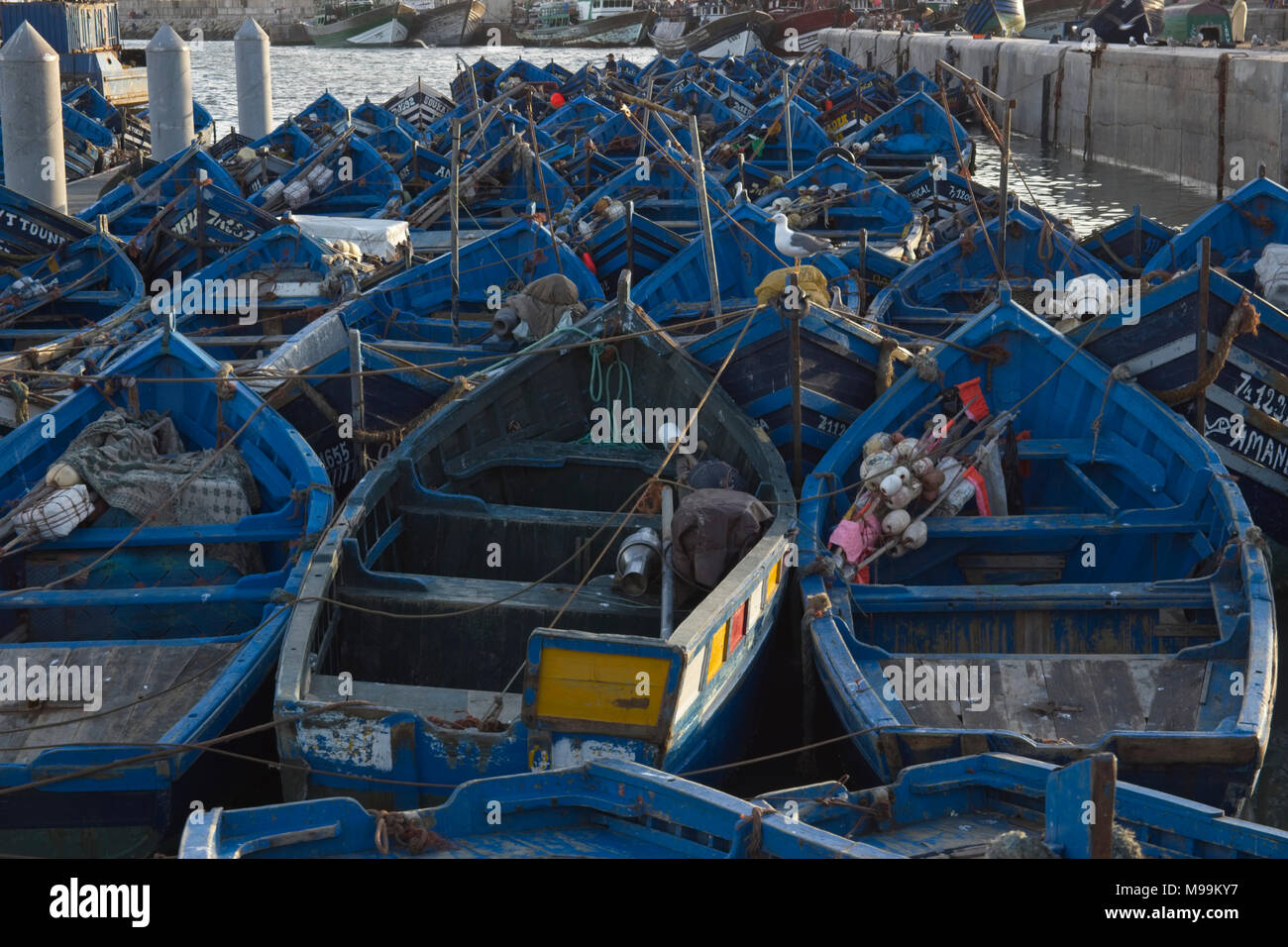 Blu locali singola aperta con equipaggio barche da pesca ormeggiate strettamente insieme in porto. Foto Stock