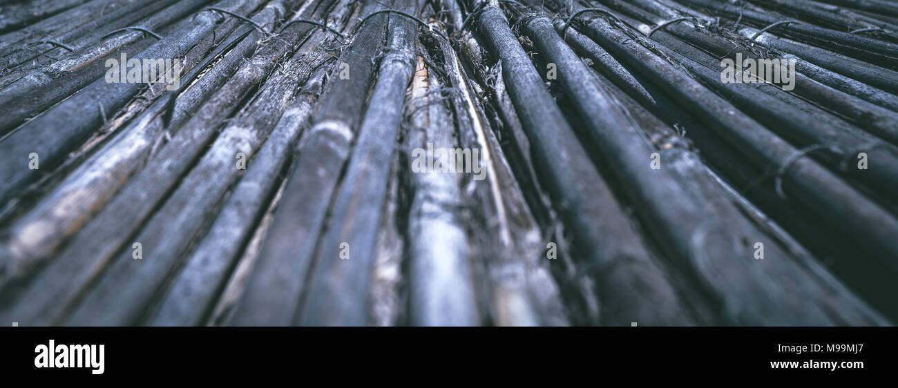 Texture ad albero. Ombrello di paglia texture. Le linee principali di paglia ombrello Foto Stock