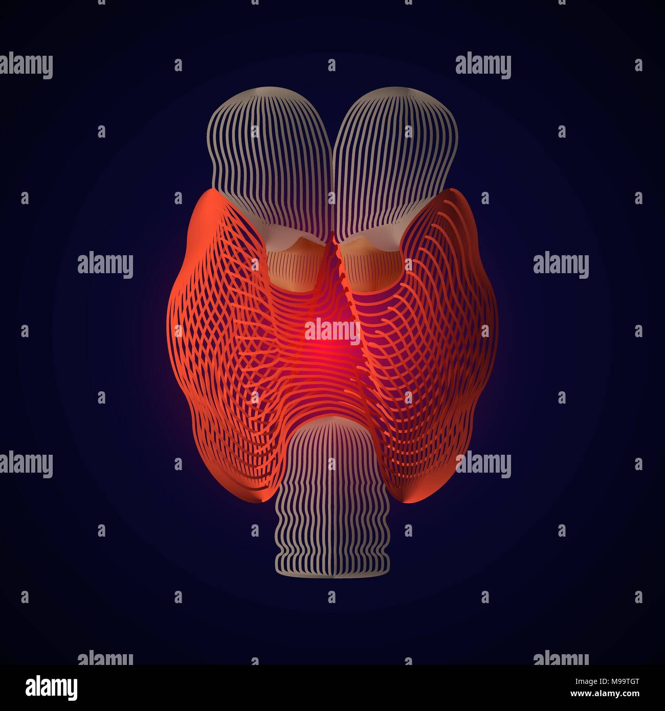 Vettore di tiroide isolato con dolore centro. 3D organo umano . Il concetto di medicina con la linea. illustrazione vettoriale della tiroide. Ghiandola endocrina. Malattia del Illustrazione Vettoriale