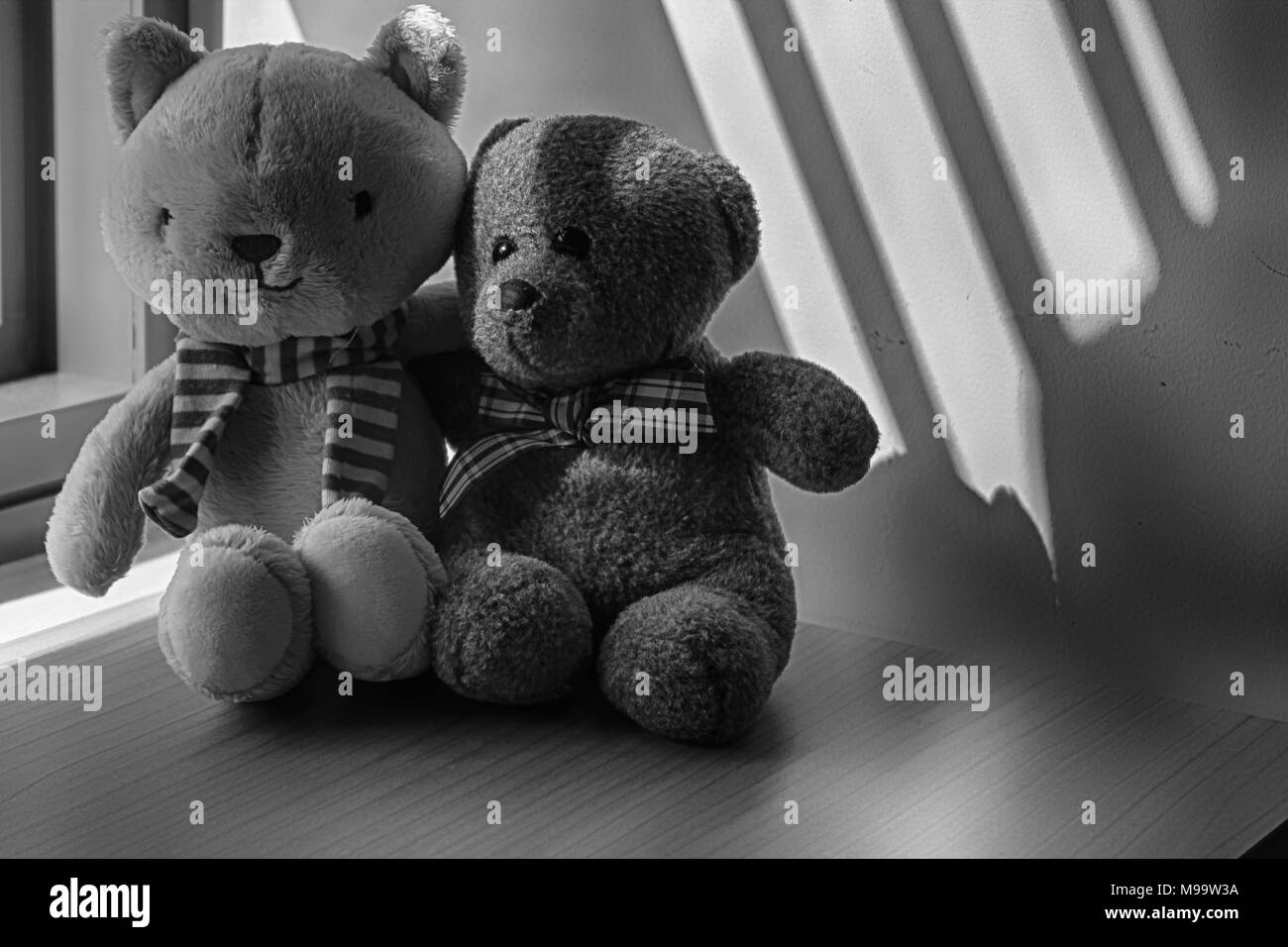 Orso e cucciolo giocattolo seduto alla finestra di ombre Foto Stock