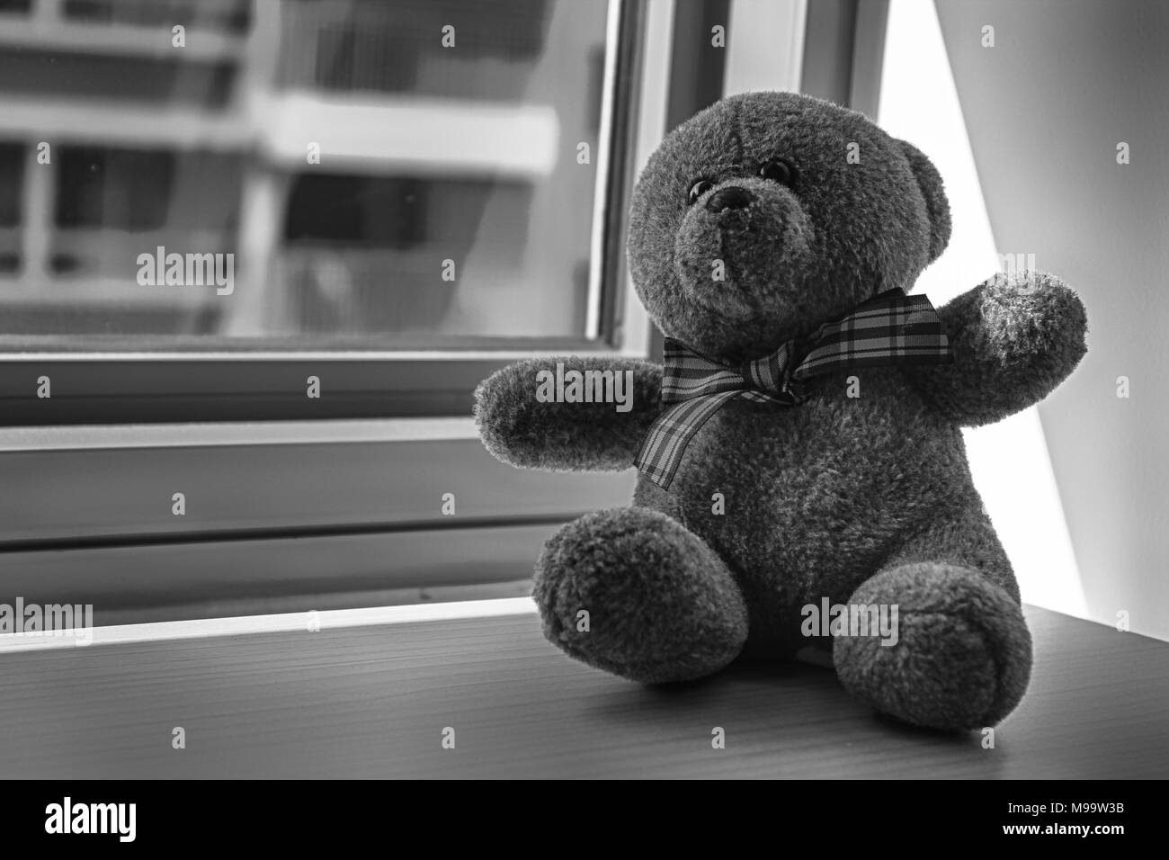 Orso bruno giocattolo seduto alla finestra di ombre Foto Stock
