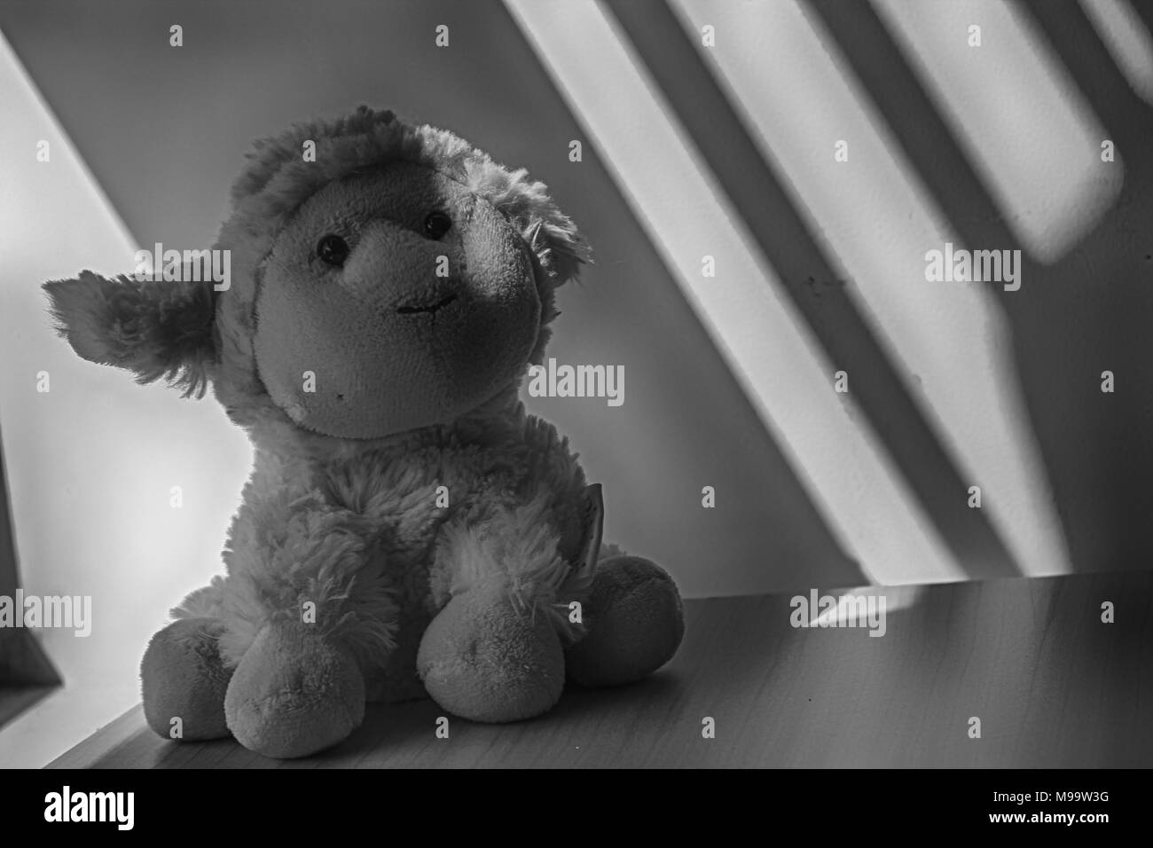 Agnello (pecora) e pinguino giocattolo seduto alla finestra di ombre Foto Stock