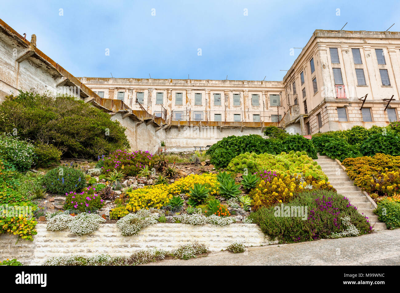 Giardini prigioniero sull isola di Alcatraz nella Baia di San Francisco, California, Stati Uniti d'America. Isola di Alcatraz ospita un carcere abbandonato ed è ora un museo. Foto Stock