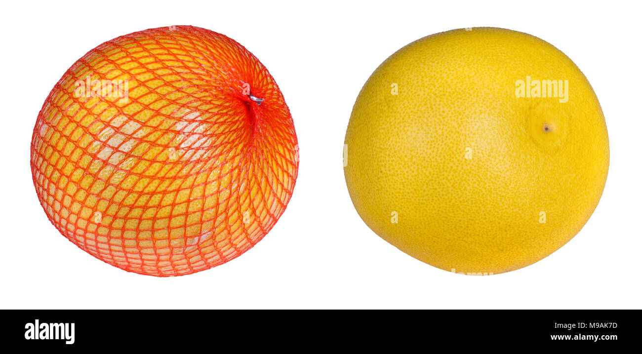 Close-up di due pomeli. Citrus grandis. Tropical agrumi con buccia di colore giallo e avvolti in plastica arancione net. Isolato su sfondo bianco. Foto Stock