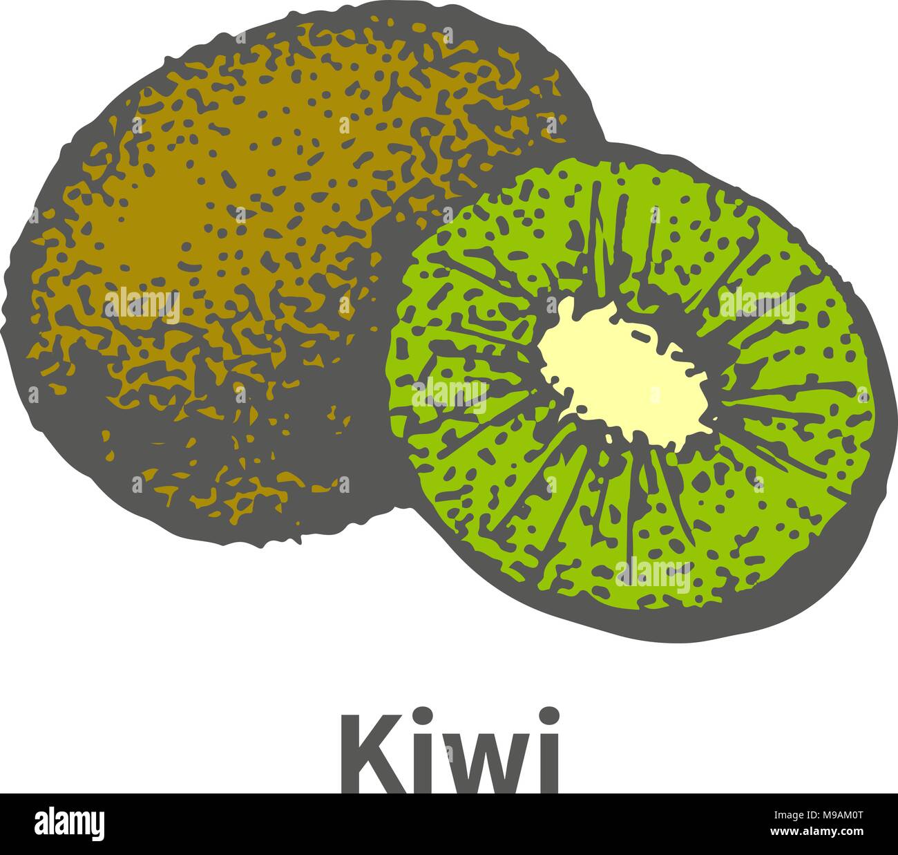 Disegnate a mano mature succosa kiwi e tagliare un pezzo di mezza Illustrazione Vettoriale