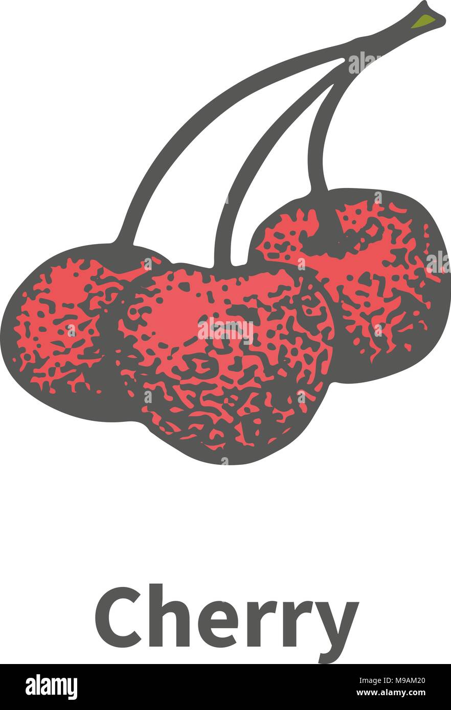 Vector disegnati a mano ripe rosso ciliegia succosa sul ramo Illustrazione Vettoriale