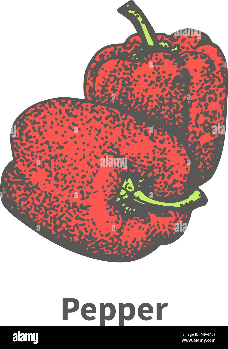 Vector disegnati a mano due stagionati rosso pepe bulgaro Illustrazione Vettoriale