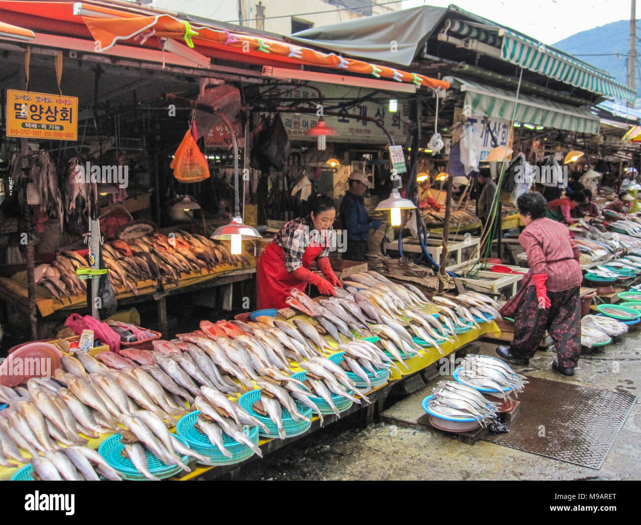 Busan, Corea del Sud. Ottobre 2012: La Jagalchi Mercato del Pesce è un rappresentante al mercato del pesce e una destinazione turistica in Busan. Molti turisti visitano Jag Foto Stock