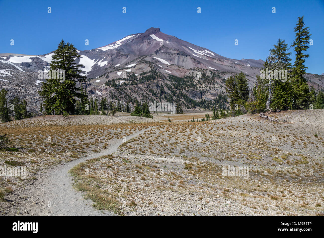 Sentiero escursionistico lungo la caduta Creek sfocia in uno scarsamente alberata altopiano sottostante colpisce il picco di rotture di Top Mountain Foto Stock