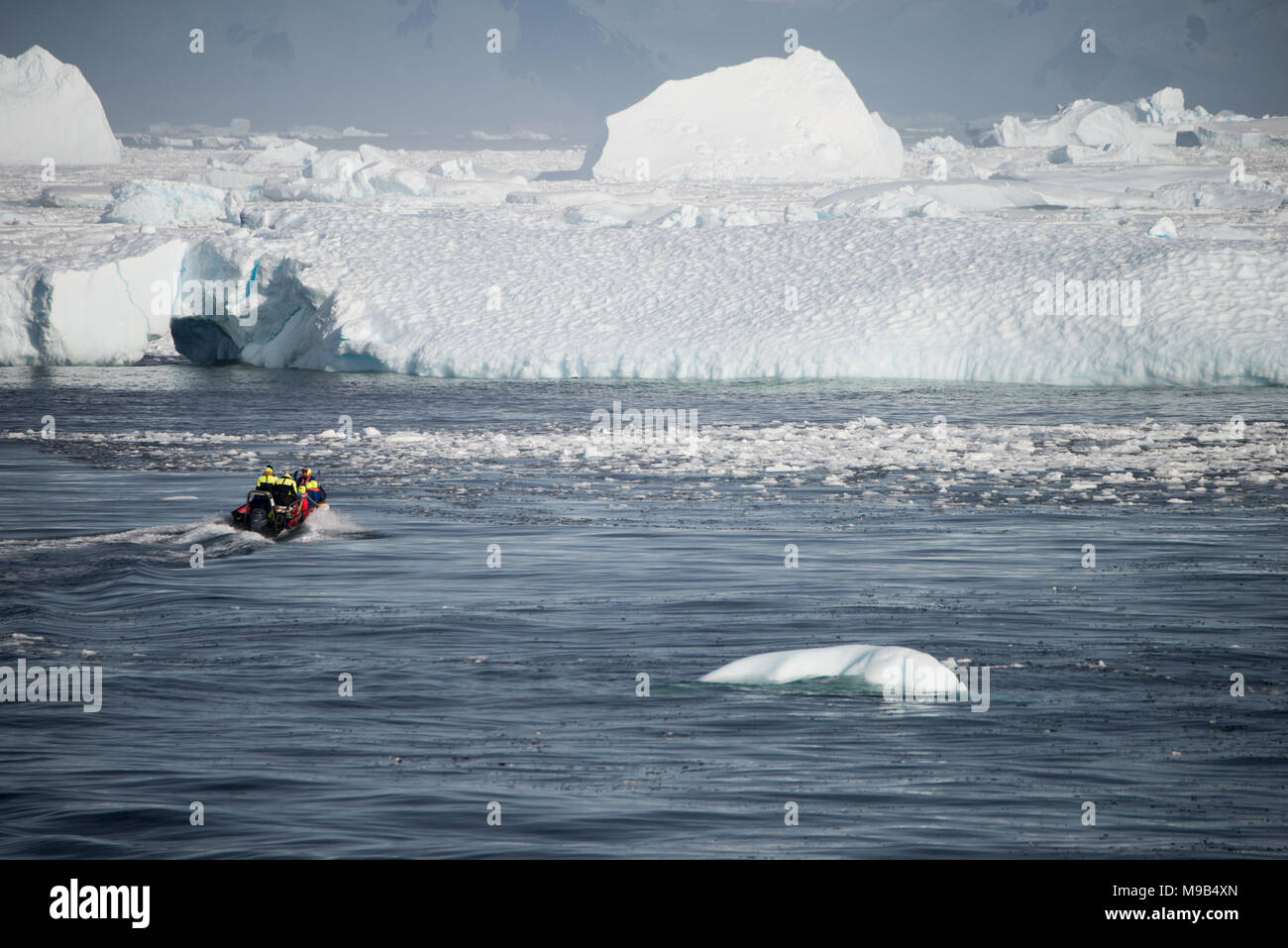 Una barca Zodiac il trasporto persone verso un ghiacciaio Foto Stock
