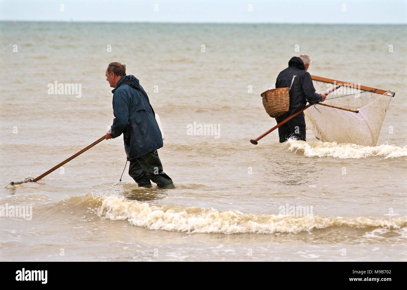 Gli uomini la cattura di gamberetti, gamberi e granchi e altri frutti di mare nel surf sulla spiaggia di Eastbourne Harbor sovrano Foto Stock