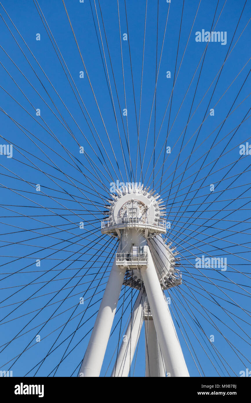 Alta rullo ruota di osservazione, o ruota panoramica con una vista a 360 gradi della Strip di Las Vegas. Ogni giro dura 30 minuti. Mondo di osservazione più alto Foto Stock