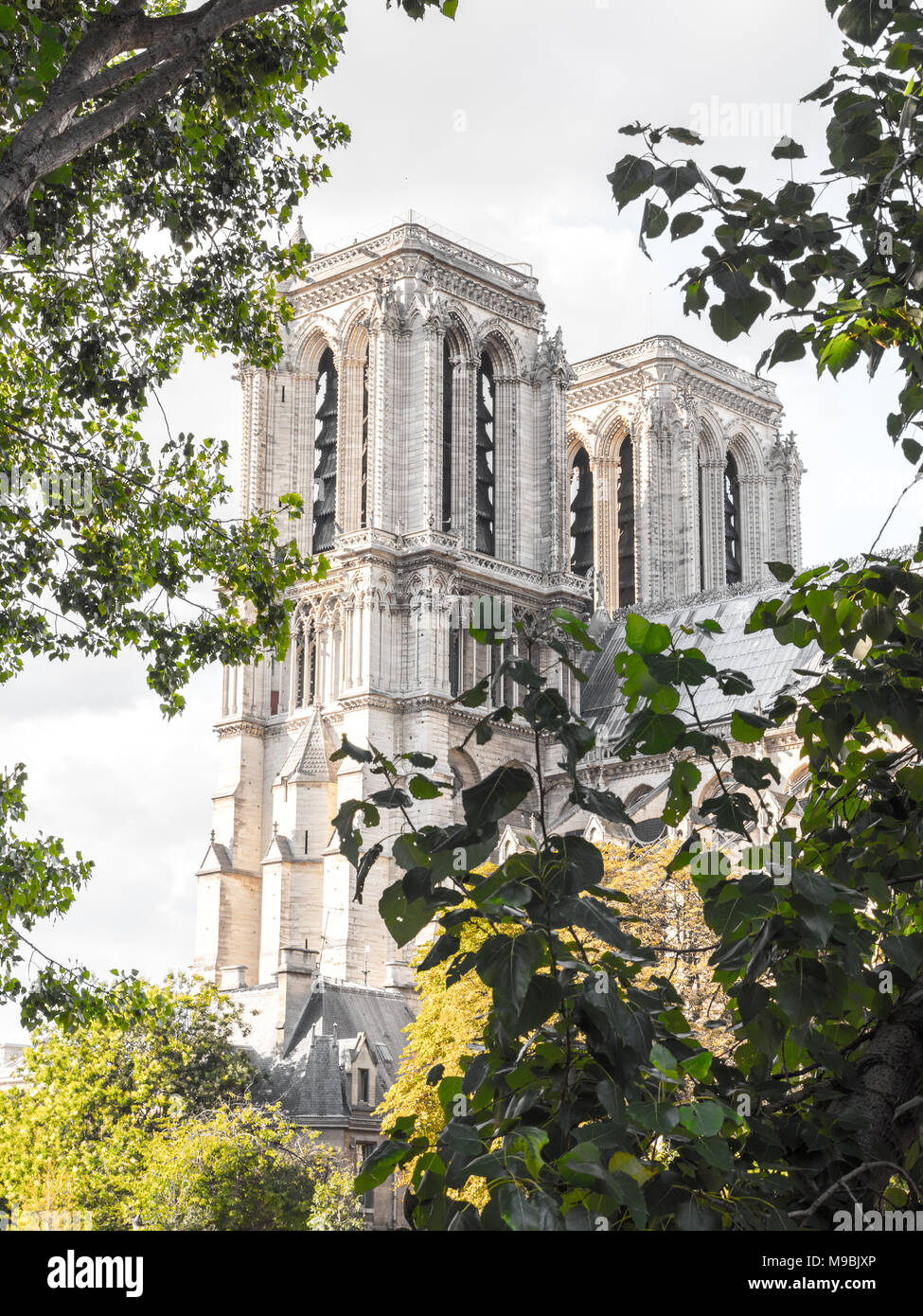 Bellissimo viaggio turistico fotografia della famosa in tutto il mondo e la storica cattedrale di Notre Dame Cattedrale Cattolica di Parigi Francia incorniciato dal verde lussureggiante dei rami dell'albero. Foto Stock