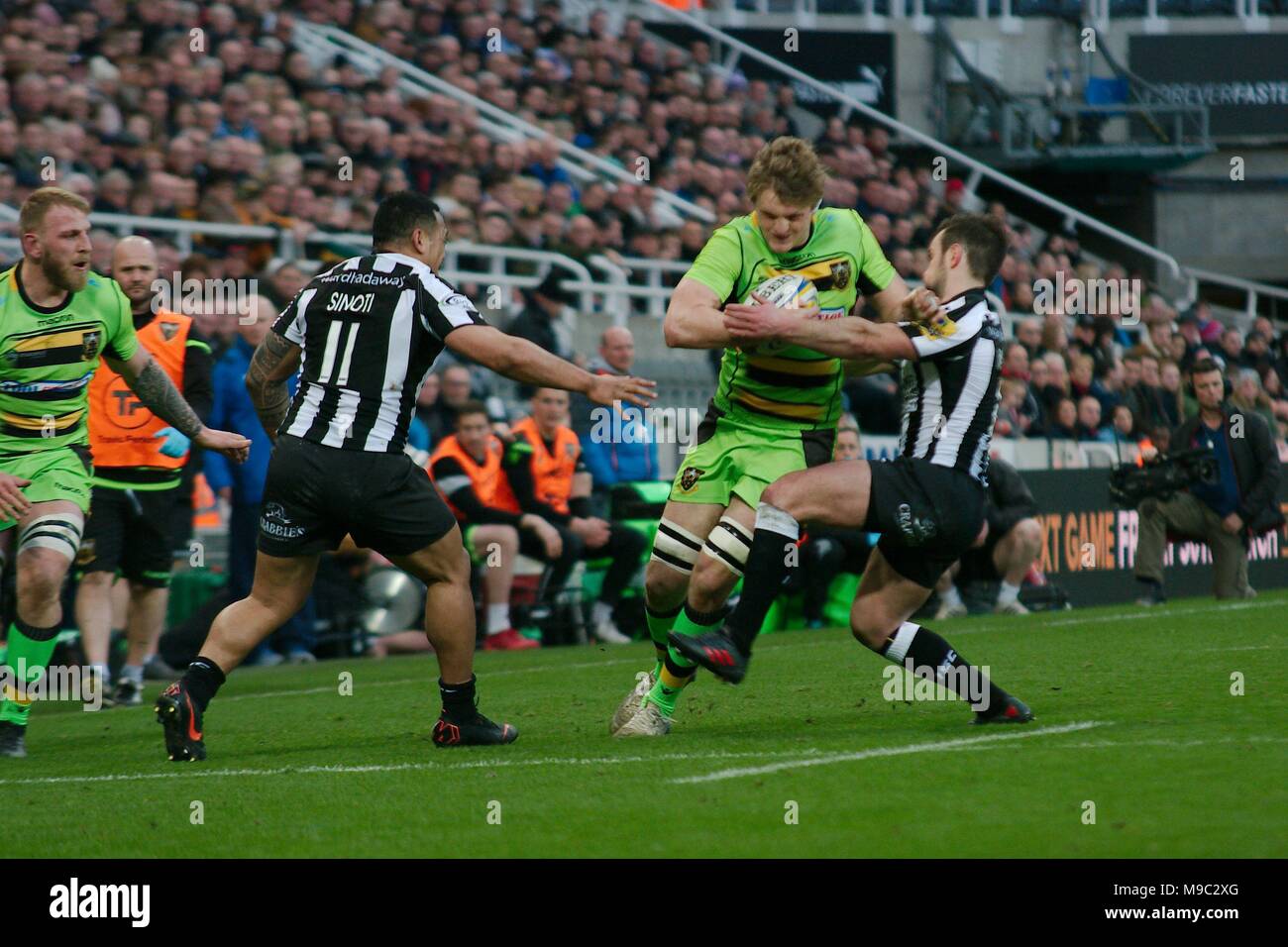 Newcastle upon Tyne, Inghilterra, 24 marzo 2018. Malcolm Young di Newcastle Falcons affrontare a Northampton Santi player guardato da Sinoti Sinoti in Aviva Premiership "Big One" presso il St James Park, Newcastle upon Tyne. Credito: Colin Edwards/Alamy Live News. Foto Stock