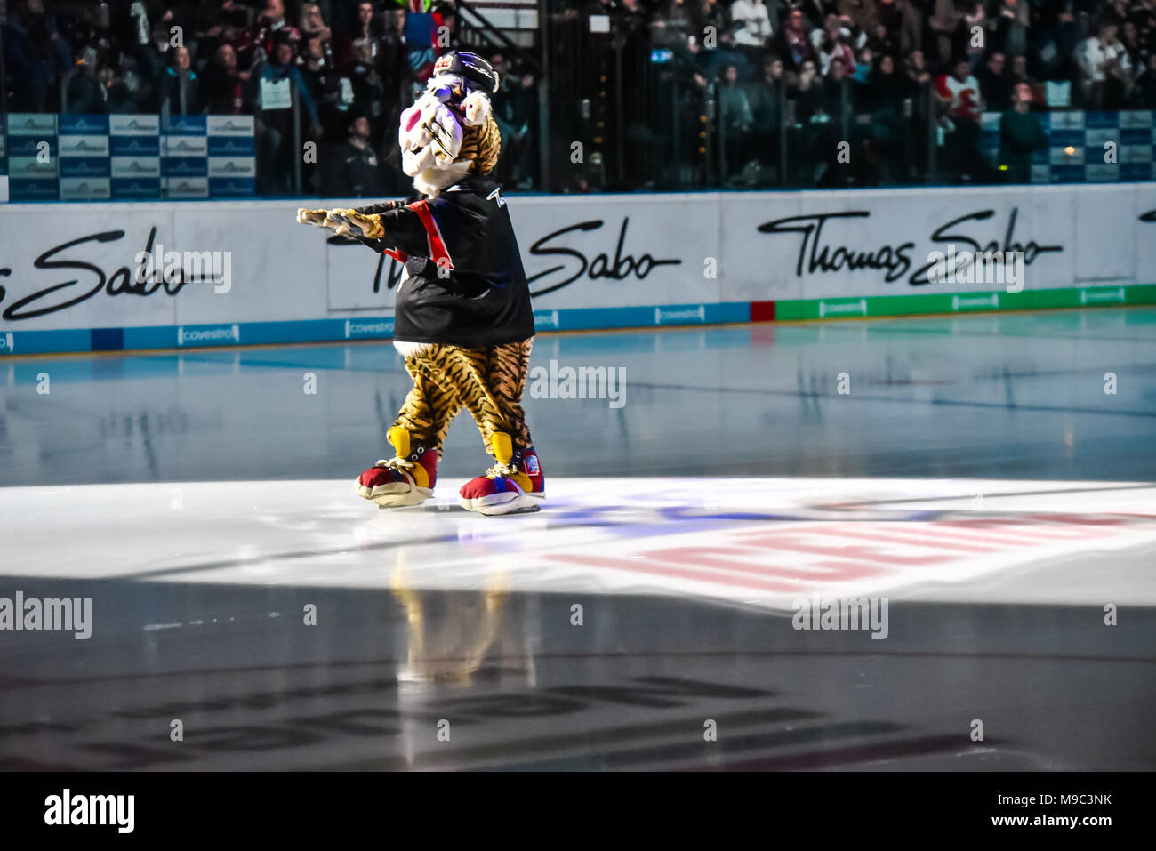 Nurenberg, Germania 24 Mar 2018. DEL Playoffs Viertelfinale, Spiel 5 - Tigri di ghiaccio Thomas Sabo contro Kšlner Haie - Image: Mascotte 'Pucki' delle Tigri di ghiaccio Thomas Sabo. Foto: Ryan Evans Credit: Ryan Evans/Alamy Live News Foto Stock