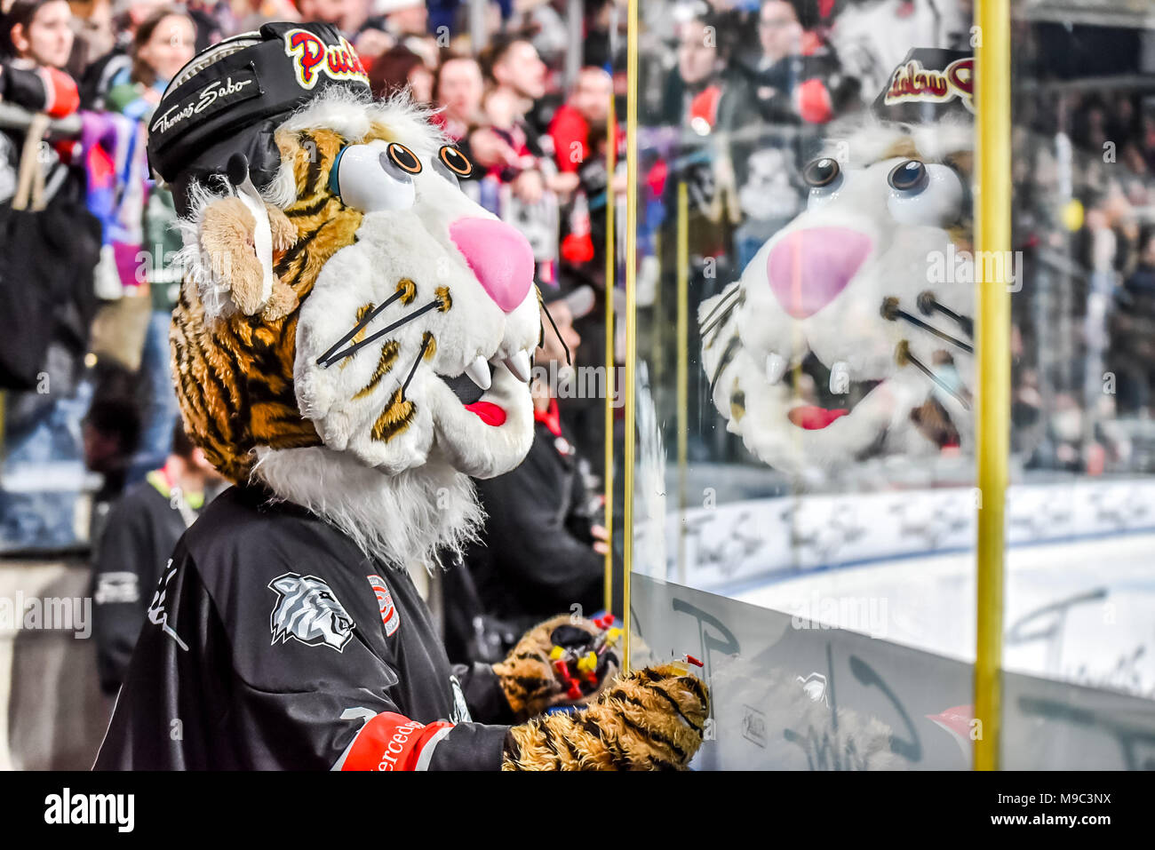 Nurenberg, Germania 24 Mar 2018. DEL Playoffs Viertelfinale, Spiel 5 - Tigri di ghiaccio Thomas Sabo contro Kšlner Haie - Image: Mascotte 'Pucki' delle Tigri di ghiaccio Thomas Sabo. Foto: Ryan Evans Credit: Ryan Evans/Alamy Live News Foto Stock