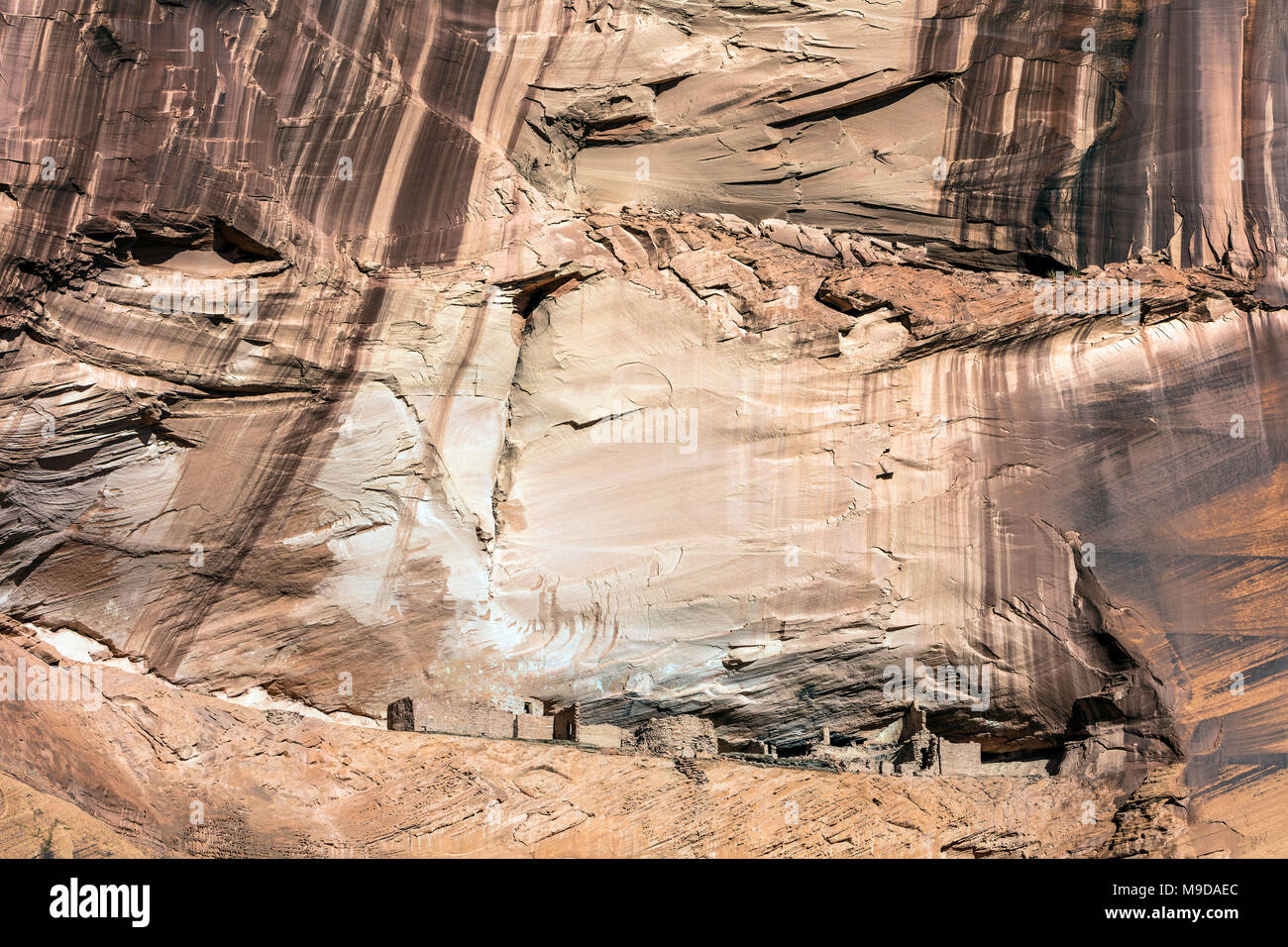 Prima rovina, Canyon De Chelly National Monument, AZ Foto Stock