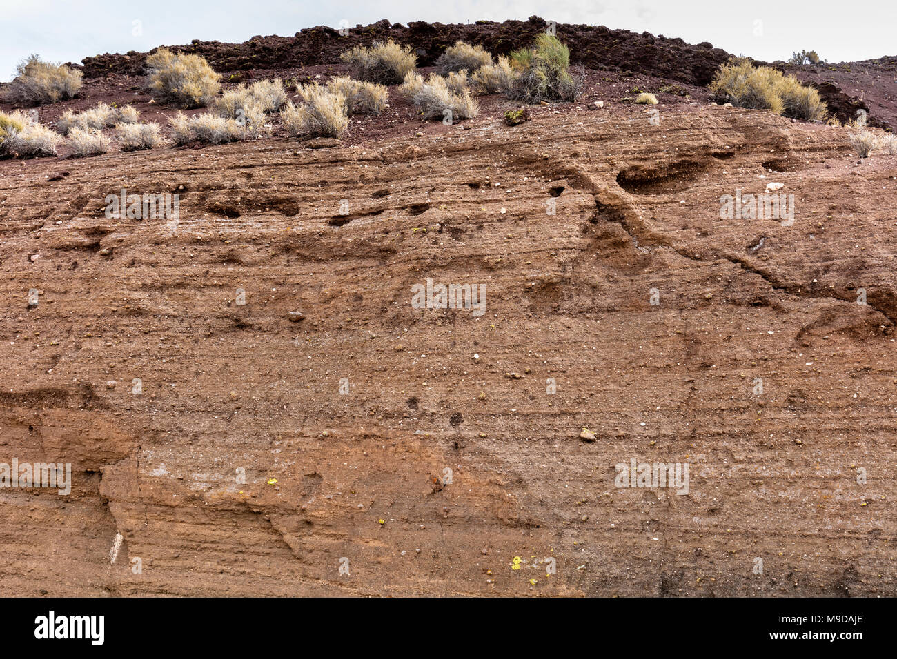 Esposti che mostra gli strati di ceneri vulcaniche deposizione, Sunset Crater National Monument, Arizona Foto Stock
