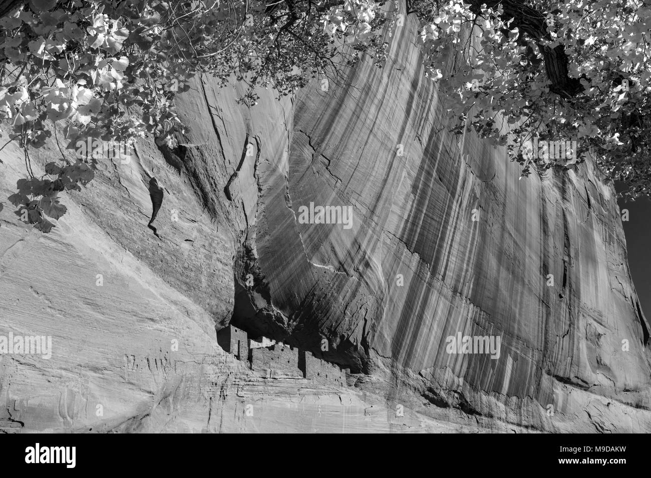 Casa bianca rovina, Canyon De Chelly National Monument, AZ Foto Stock