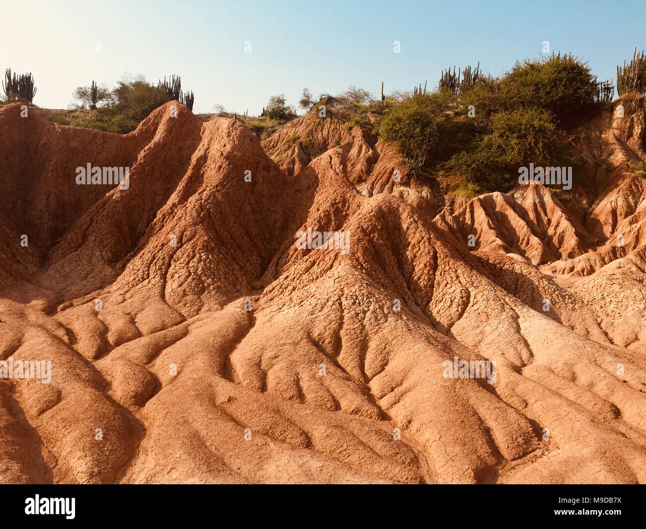Deserto di sabbia rossa panorama della valle - Tatacoa, Colombia - Foto Stock