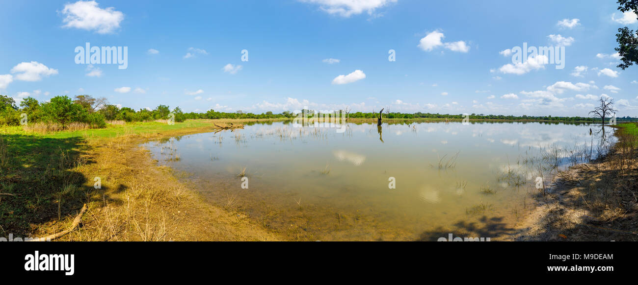 Vista panoramica di un tranquillo lago in campagna a Udawalawe parco nazionale riserva faunistica, provincia di Uva, Sri Lanka in una giornata di sole con cielo blu Foto Stock