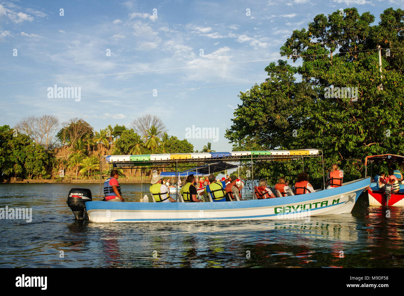 Gite in barca fermarsi a guardare le scimmie ragno sugli isolotti di Granada in Nicaragua Foto Stock