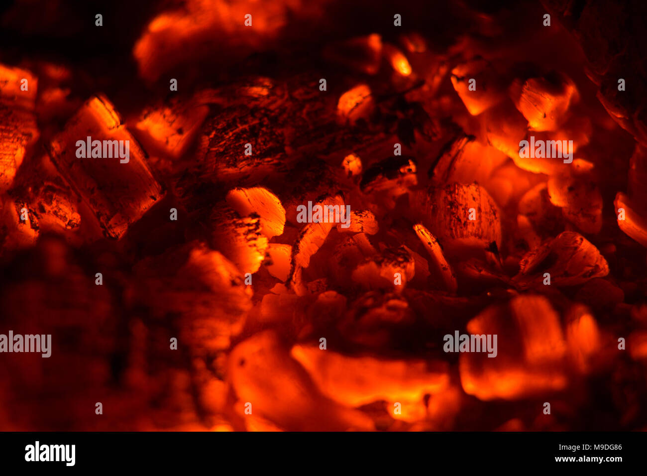 Carbone di legna in rosso fuoco, può utilizzare come sfondo Foto Stock