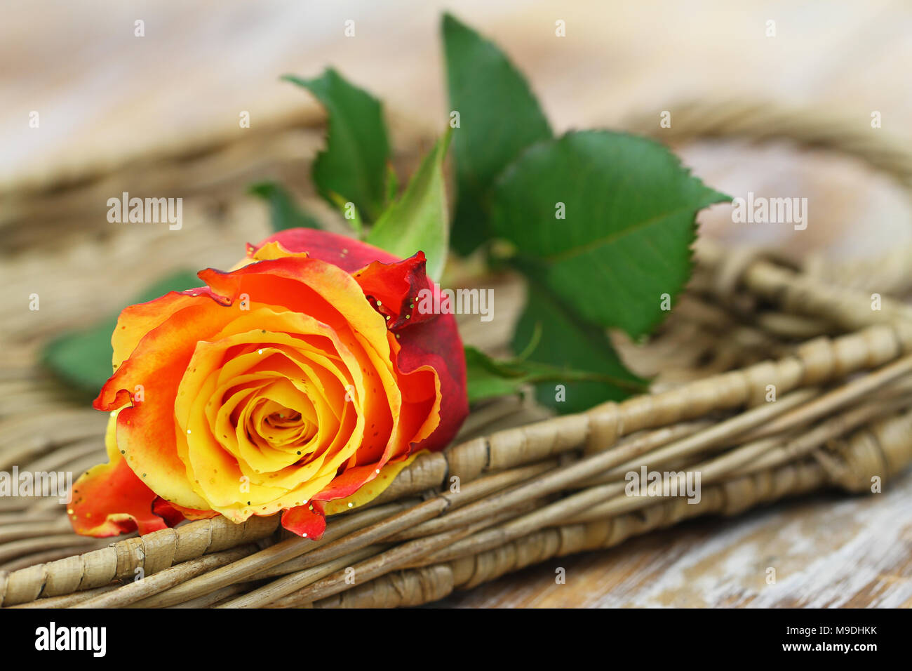 Rosso e giallo cosparso di rose con glitter sulla superficie di vimini con spazio di copia Foto Stock