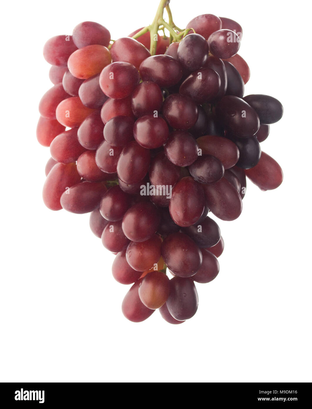 Rosso uva moscato mazzetto isolati su sfondo bianco, studio foto, di grandi dimensioni e ad alta risoluzione Foto Stock