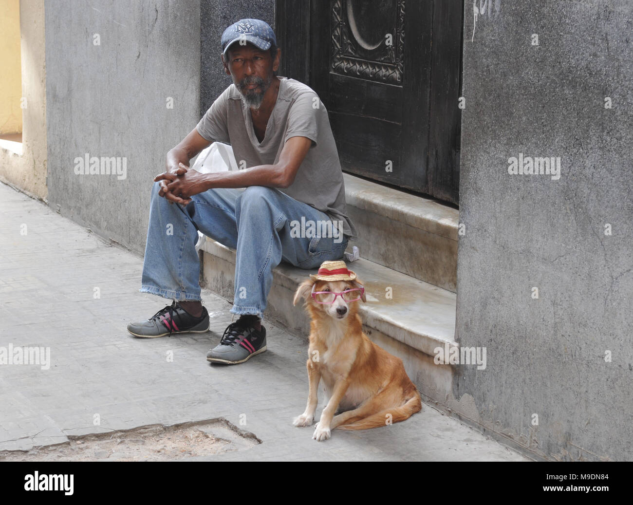 Un uomo si siede su un passo accanto a un cane con gli occhiali e un cappello di paglia su una strada nella Vecchia Havana, Cuba. Foto Stock