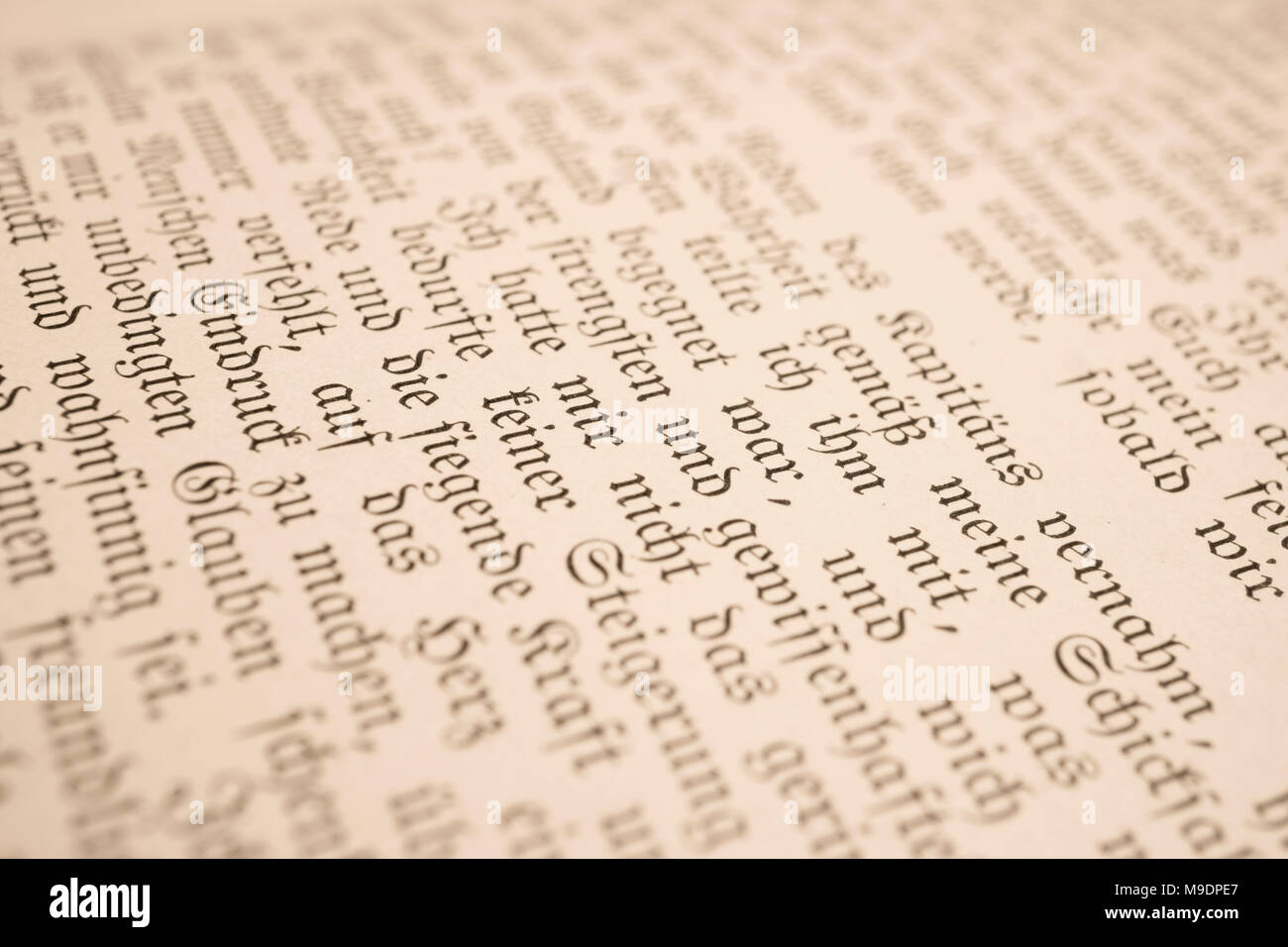 Dettagli del libro I viaggi di Gulliver, pubblicato nel tardo Ottocento come Gullivers Reisen, da Franz Hoffman. Include le illustrazioni. Foto Stock